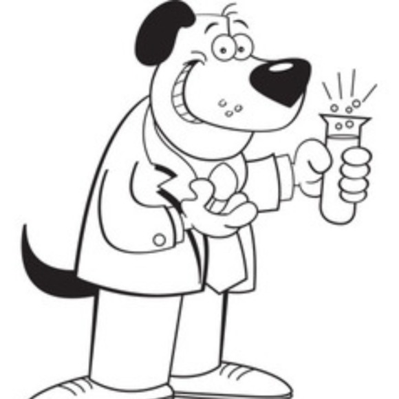 Meet your Posher, Brooke - Picture 1 of 1